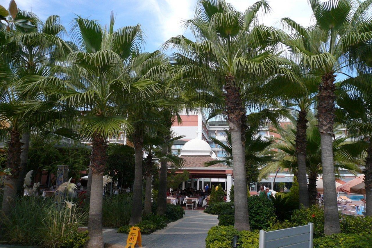 Insula Resort & Spa Alanya Eksteriør billede